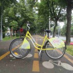 Rental Ride on Bicycle Path Bucharest