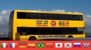 Auckland Hop-On Hop-Off Bus